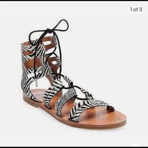 🦓 DV Zebra Gladiator Sandal 🦓